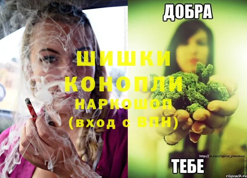 Конопля OG Kush  Киселёвск 